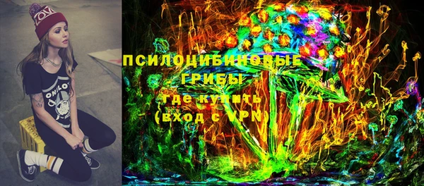 эйфоретик Алзамай